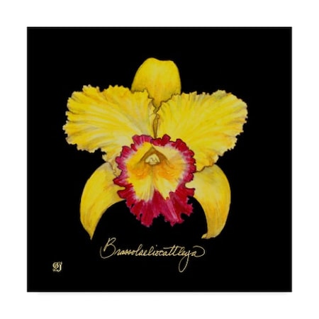 Ginny Joyner 'Vivid Orchid Vii' Canvas Art,18x18